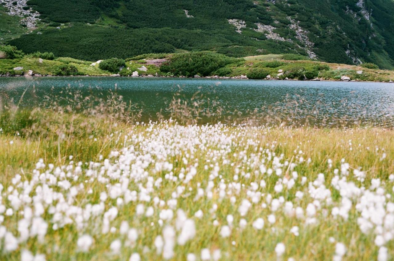 Pensiunea Nechita Sant Dış mekan fotoğraf